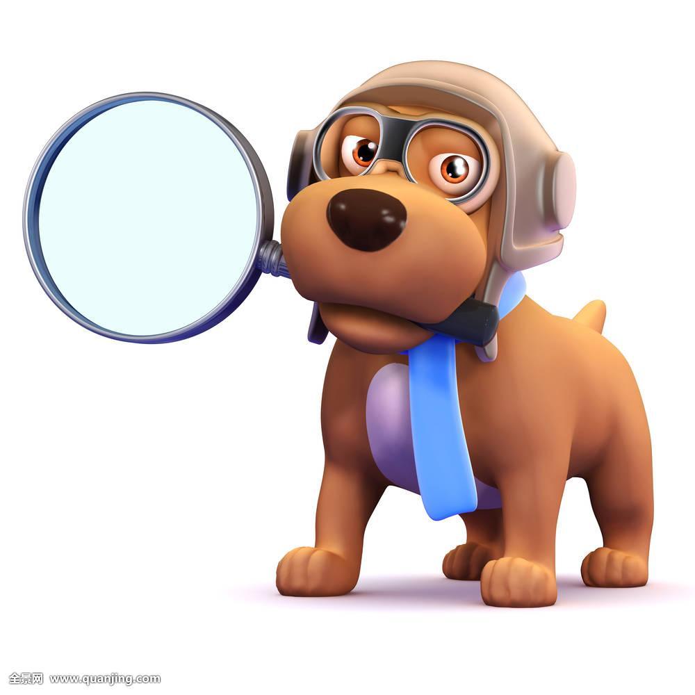 狗,猎犬,放大,玻璃,小狗,寻找,杂种狗,浏览,幼仔,卡通,可爱,有趣