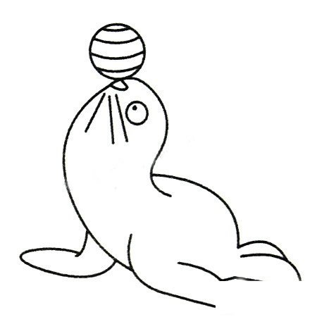海豹简笔画