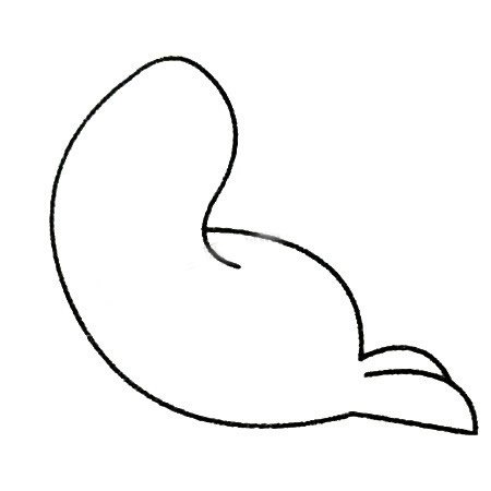海豹简笔画