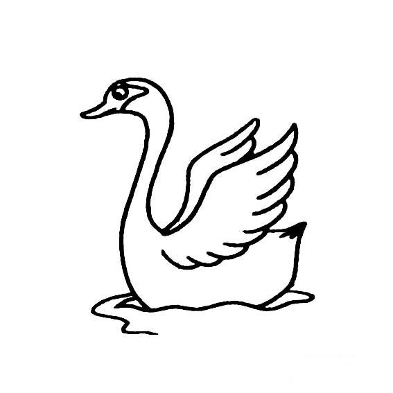 水中的白天鹅怎样画