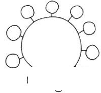 太阳简笔画图片画法