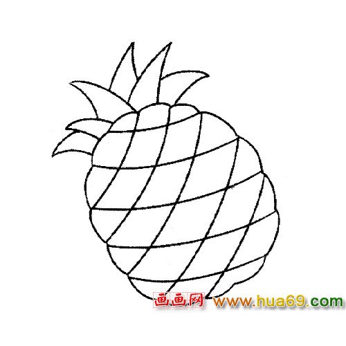 水果简笔画：菠萝4