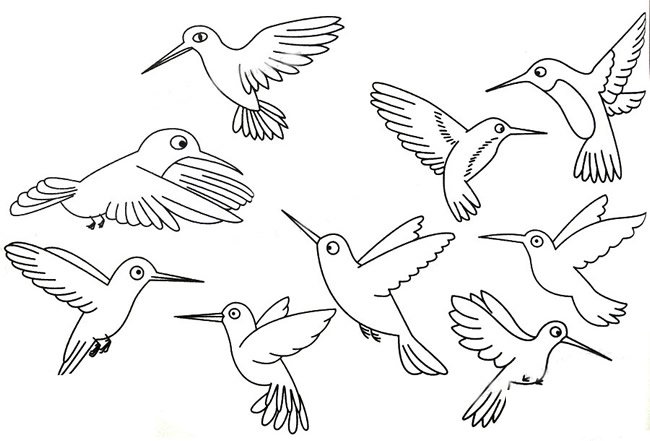 蜂鸟简笔画大全