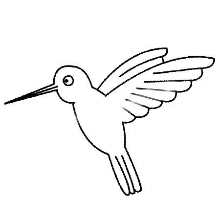 蜂鸟简笔画
