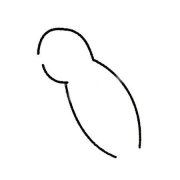 蜂鸟简笔画的画法步骤