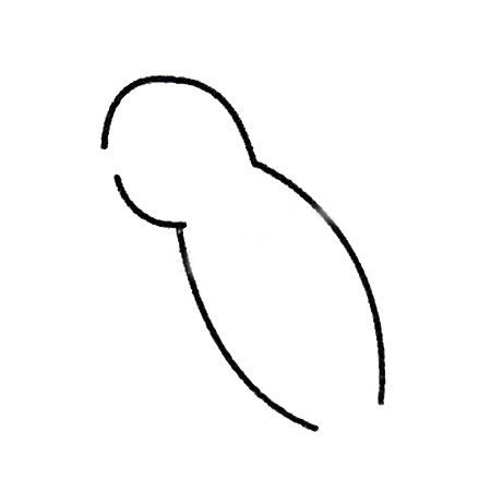 蜂鸟简笔画