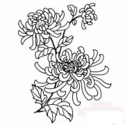金秋赏菊简笔画画法_怎么画金秋赏菊
