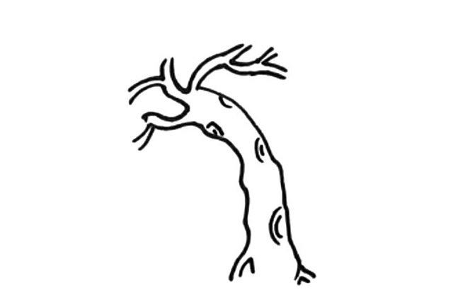 柳树简笔画