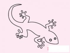 幼儿卡通小壁虎怎么画好看 小壁虎简笔画教程