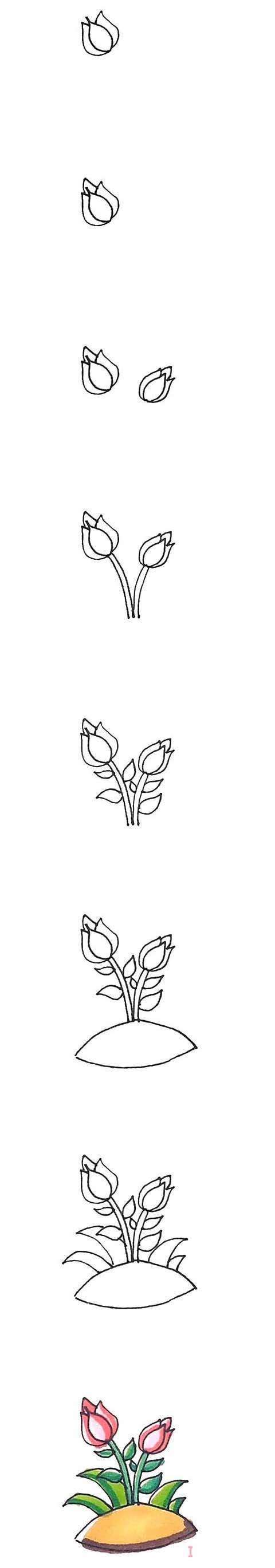 彩色月季花的画法步骤 月季花简笔画图片