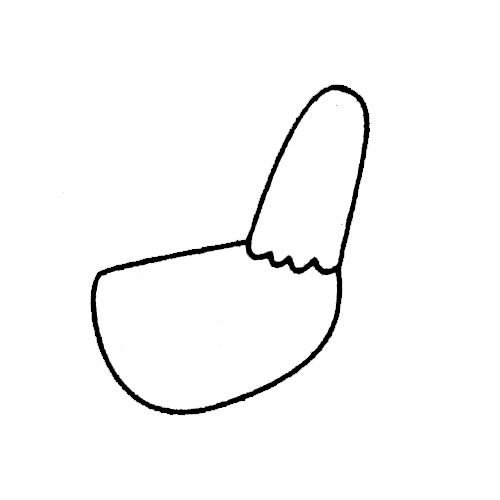 公鸡简笔画图片大全