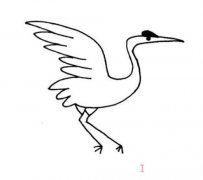 幼儿园简单丹顶鹤简笔画画法教程好看