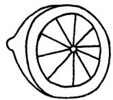 柠檬简笔画图片画法