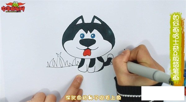 如何画哈士奇q版简笔画