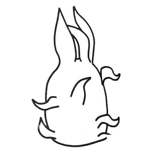 火龙果简笔画图片
