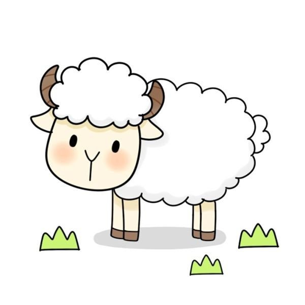 可爱小绵羊简笔画图片