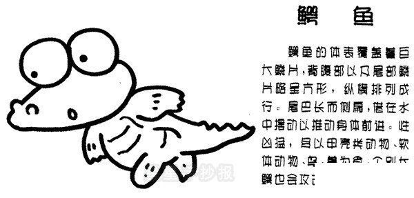 鳄鱼简笔画