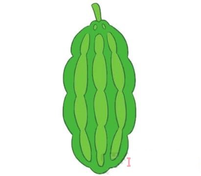 一根苦瓜的画法步骤图带颜色 苦瓜简笔画图片