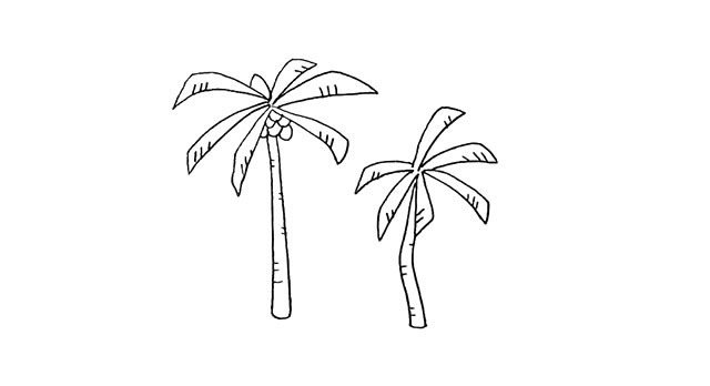 椰岛上的椰树简笔画