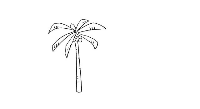 椰岛上的椰树简笔画