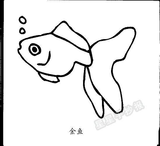 金鱼简笔画