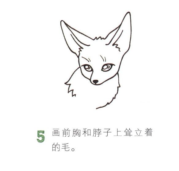 狐狸简笔画彩色图片大全