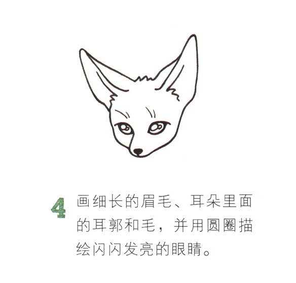 狐狸简笔画彩色图片大全