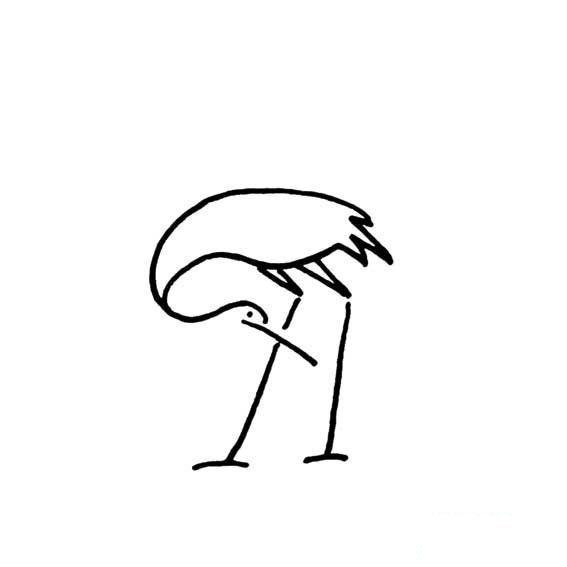 仙鹤低头的画法动物动作