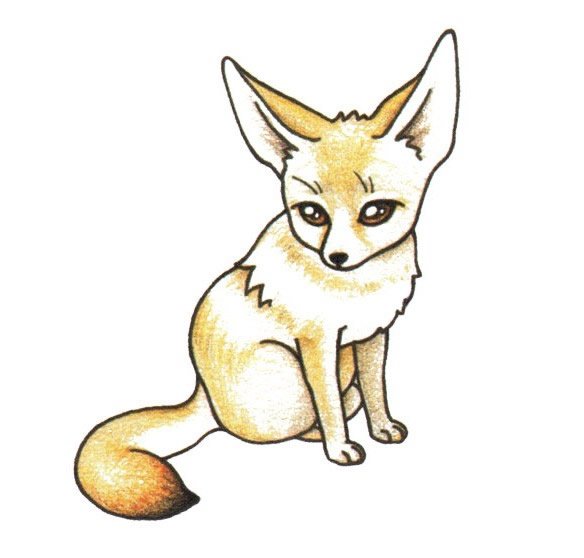 狐狸简笔画彩色图片大全