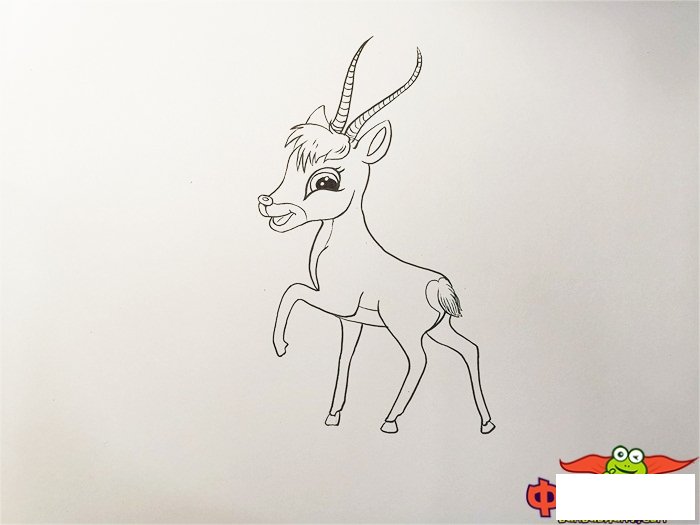小藏羚羊怎么画简笔画，藏羚羊的简笔画可爱