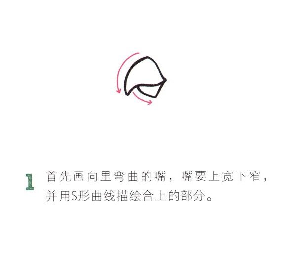 鹦鹉简笔画彩色图片大全