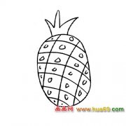 简笔画：诱人的菠萝4