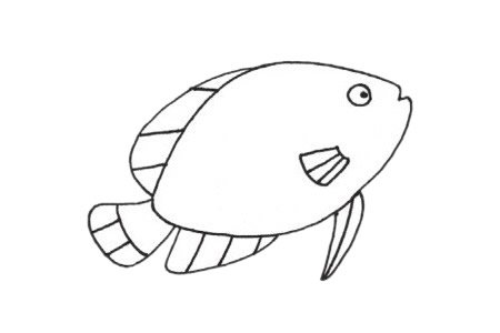 热带观赏鱼简笔画图片