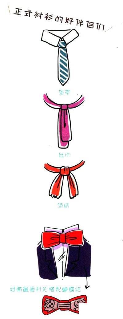 四步画出白衬简笔画图片
