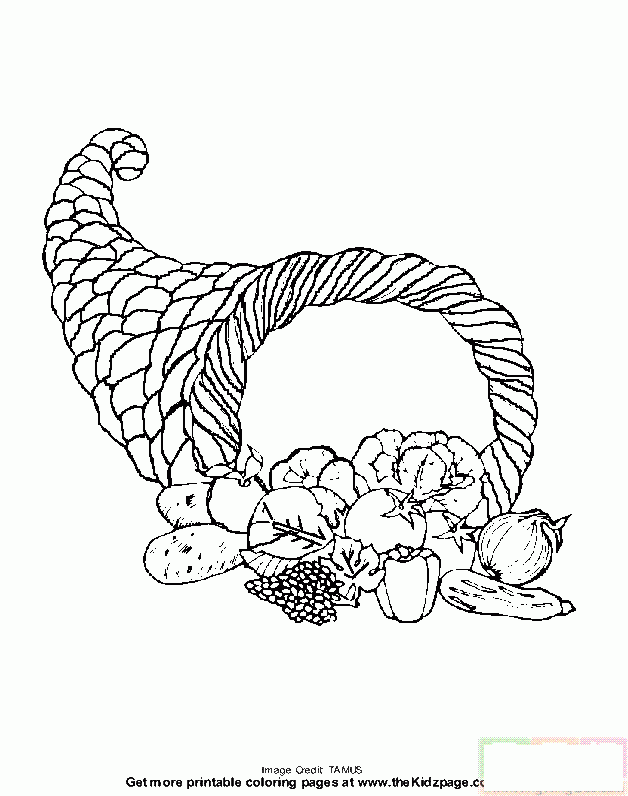 袋子倒出各种各样的蔬菜简笔画