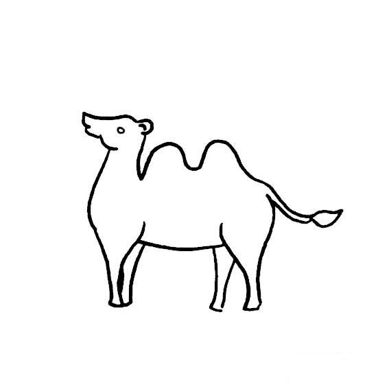 如何画骆驼