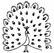 孔雀开屏动物简笔画步骤图片大全
