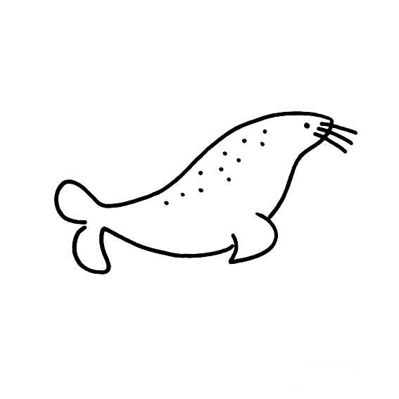如何画出简单的海豹