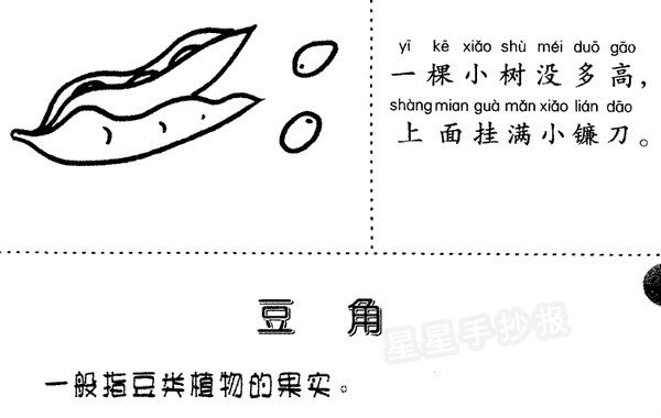 豆角简笔画