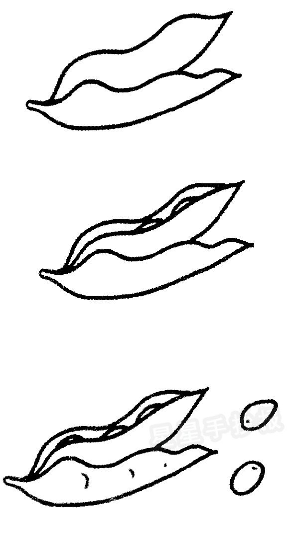 豆角简笔画