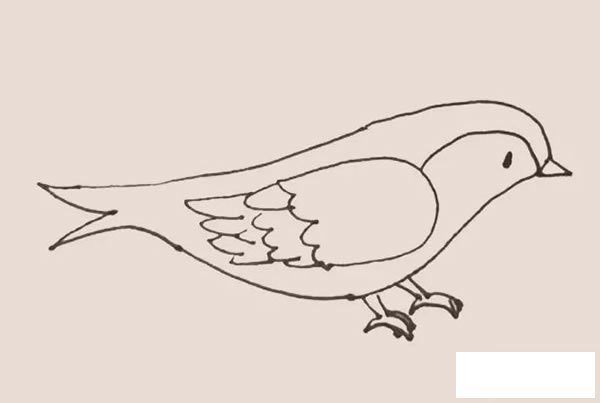 黄鹂简笔画
