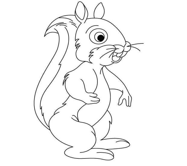 幼儿简笔画：站立的小松鼠