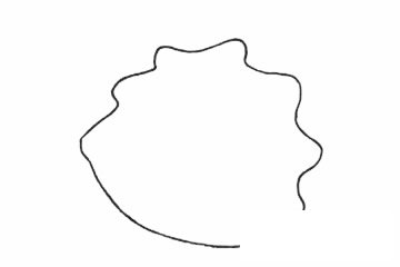 海参简笔画图片