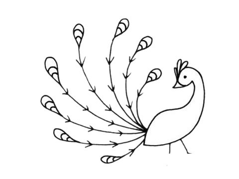 孔雀简笔画图片大全作品四
