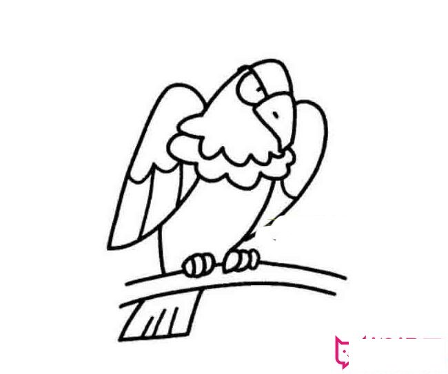 儿童老鹰简笔画图片，雄鹰展翅图片简笔画