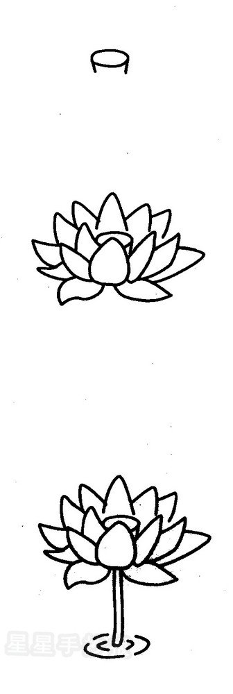 荷花简笔画图片