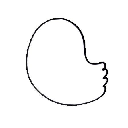 六步画出小鸡简笔画彩色图片