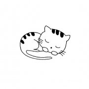 睡大觉的小花猫画法