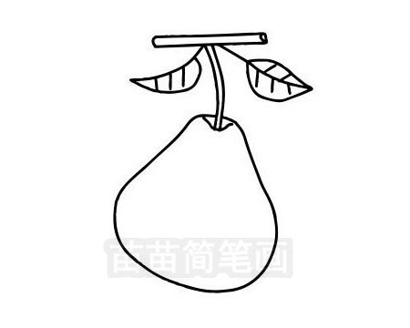 雪梨简笔画图片