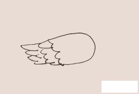 黄鹂简笔画